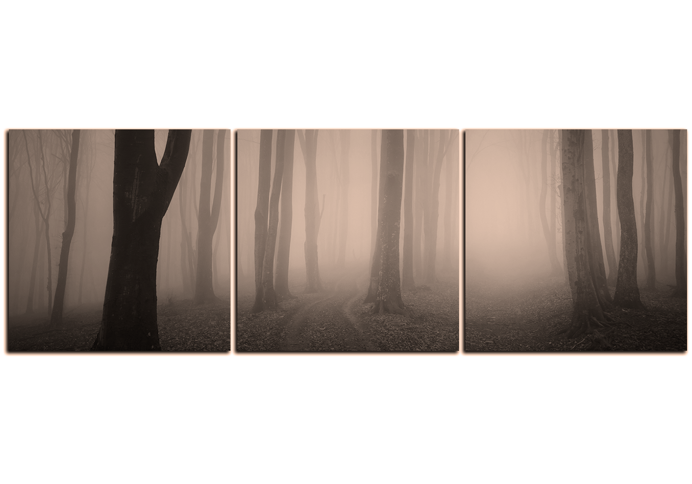 Obraz na plátně - Mlha v lese - panoráma Obraz na plátně - Mlha v lese - panoráma